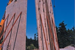 1123083481402 10306141