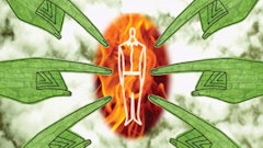 1124221711613 10305332