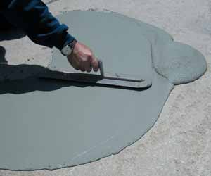 1125501609137 10305691