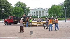 1142610668129 10304847