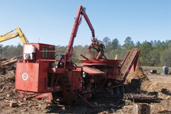 1156782129488 10299981