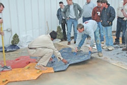 1165341838037 10299352