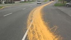 1168266407405 10300168