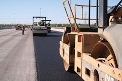 1171306524647 10299113