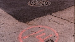 1171573593737 10299012