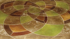 1174406306790 10298801