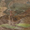 Chameleonsymphonypigmentseffects 10084120