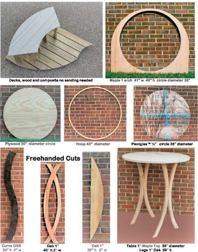 Curvedbladeandguidesystem 10076999