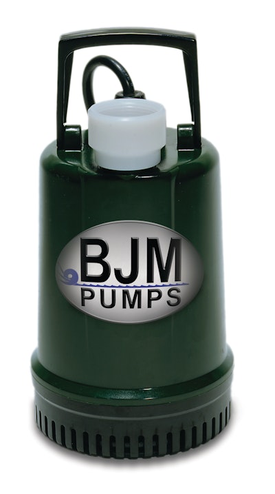 R100littlebulletpump 10088648