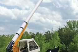 Allterraintreetrimmer 10089892