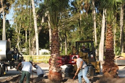 Rocktreehandler 10090479