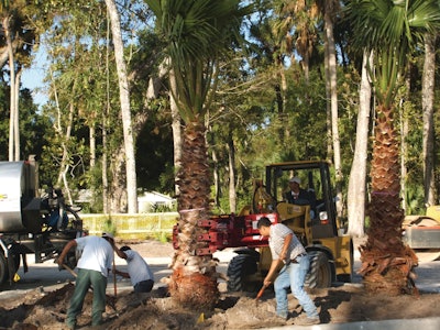Rocktreehandler 10090479