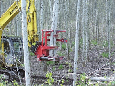 Treeshears 10091014