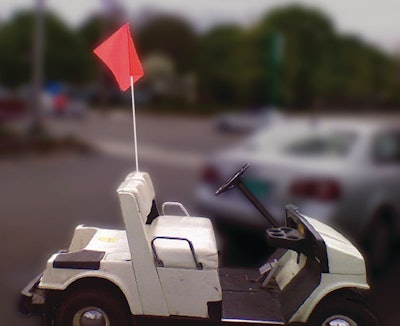 Safetyflag 10091777