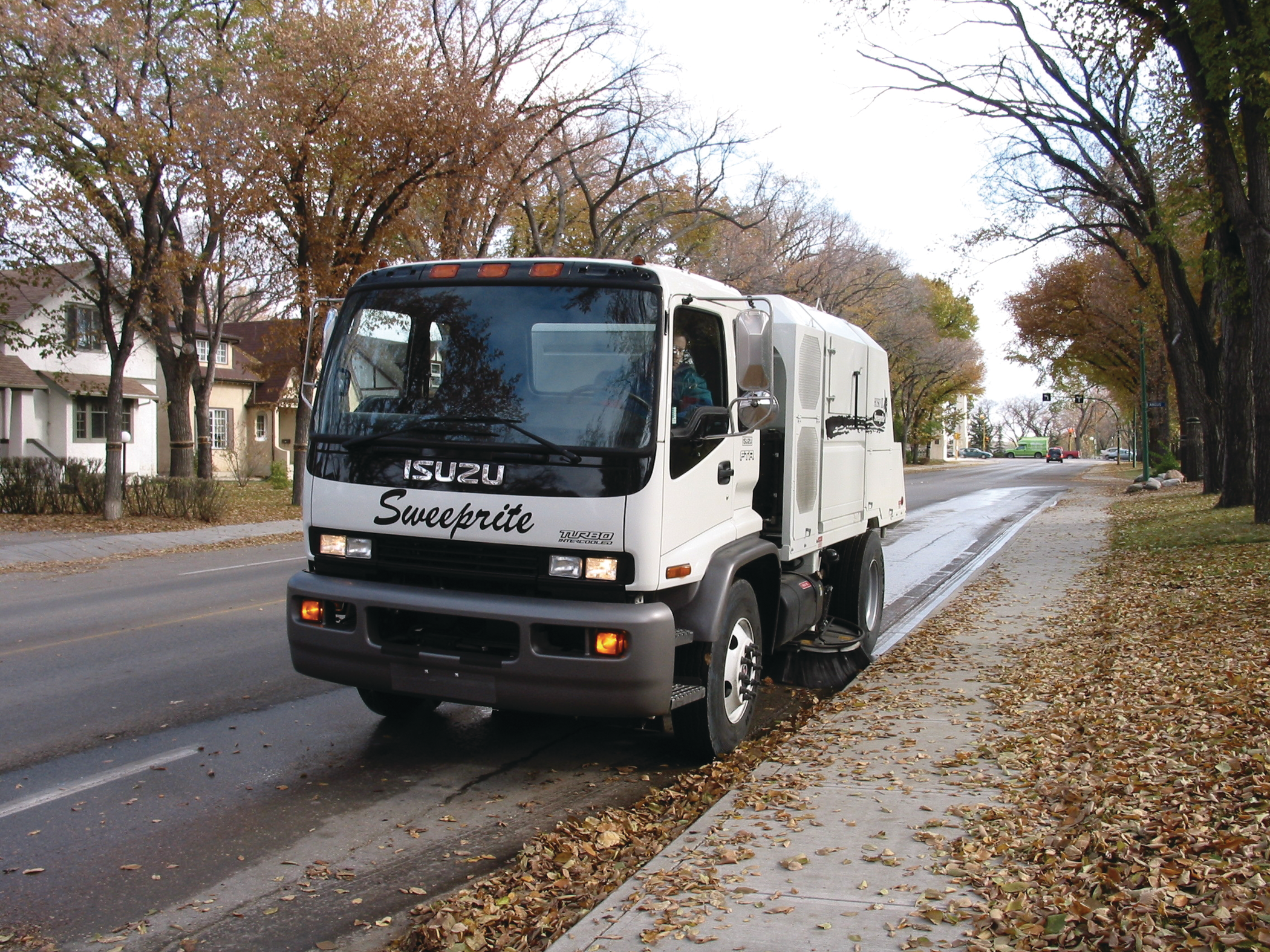 Pythonsweepriteroadwizardparts 10092408