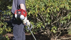 T282trimmer 10080027