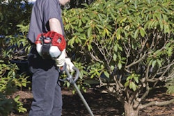 T282trimmer 10080027