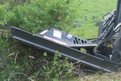 Bradcobrushcutters 10081287