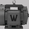 Motors 10081445