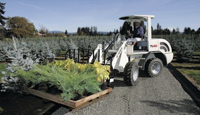 Tl60compactwheelloader 10081629