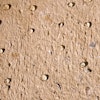 W1000 10082296