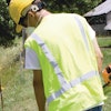 Limegreen 10162836