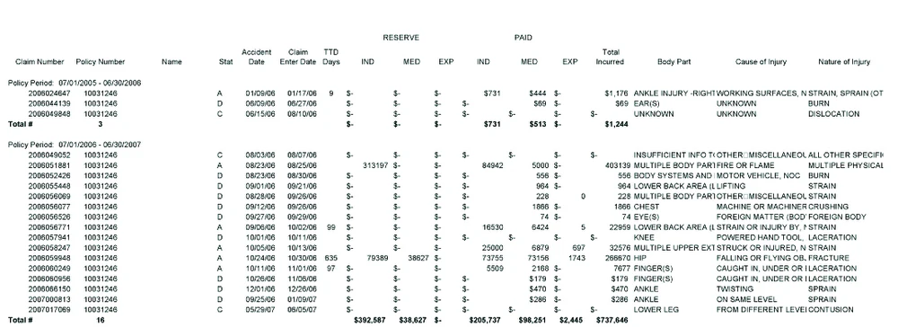 Insurance Loss Run Report Example Workers' Compensation loss run reports can lead to long-term savings ...