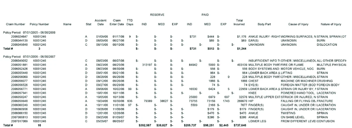 Workers' Compensation loss run reports can lead to long-term savings ...