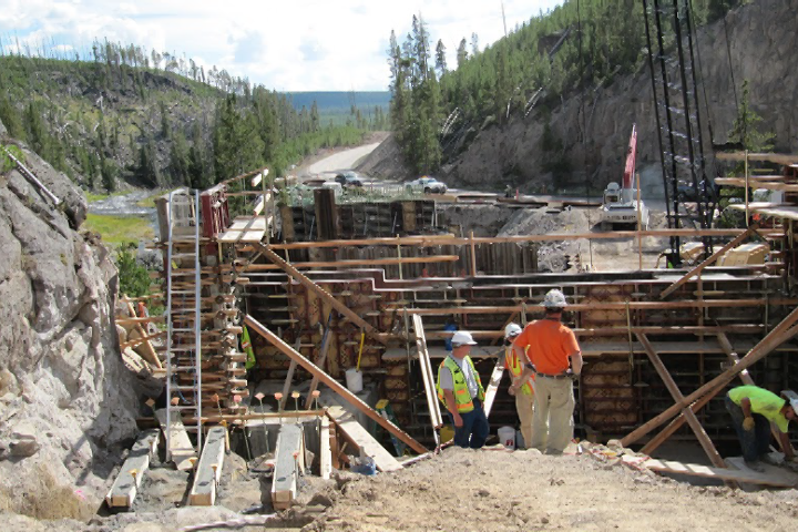 Greenroadsthumb 10242978