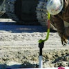 Grabs inside of pipe wall below threaded section of pipe or joint of PVC pipe