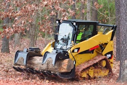 Cat259bskidsteer 10263828