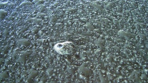 Avoid Surface Defects on Interior Slabs