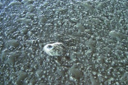 Avoid Surface Defects on Interior Slabs