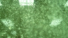 Bubbles can form in a sealer when it is applied too thick; it is recommended to apply sealer in two thin layers.