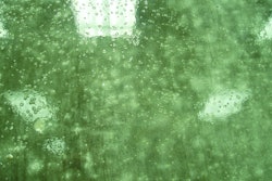 Bubbles can form in a sealer when it is applied too thick; it is recommended to apply sealer in two thin layers.
