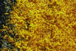 Embedded glass beads in pavement markings offer increased safety by increasing the retro-reflectivity of the marking, making it more visible to the viewer.