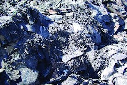 Shingles before processing.