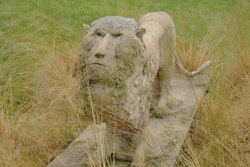 Grandviewlion 10443534