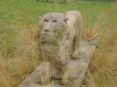 Grandviewlion 10443534