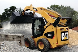 Catskidsteerhandlingdecorative 10614726