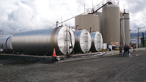 Plant Omi Denali 100 1567 10622011