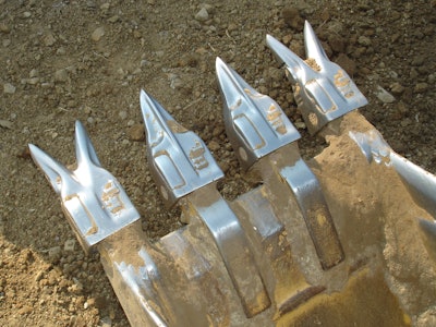 Hl233ttand233st9teeth1 10655713