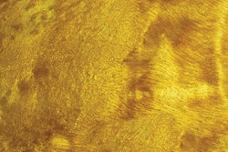 Metalfxsamplegoldleaf 10721966