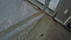 Cc Basham Cracking 2 10735430