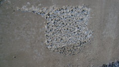 Avoid honeycombing by using appropriate concrete mixtures with sufficient workability, proper placement and consolidation techniques.