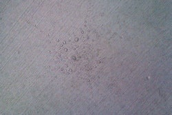 Lythic Day1 Concrete Sealer Dr 10730768