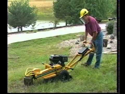 Hqdefault 10739948 jpg