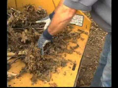 Hqdefault 10740156 jpg