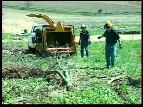 Hqdefault 10740194 jpg