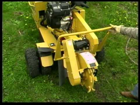 Hqdefault 10740270 jpg